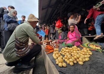 Tinjau Pasar Potikelek Wamena, Wapres Dukung Peran Mama-Mama Penopang Ekonomi Keluarga