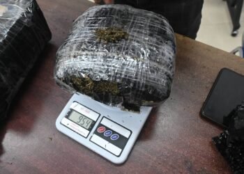 Prajurit Lanud RSN dan Avsec Gagalkan Pengiriman 954 Gram Ganja di Bandara SSK II