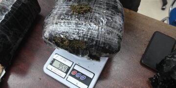 Prajurit Lanud RSN dan Avsec Gagalkan Pengiriman 954 Gram Ganja di Bandara SSK II