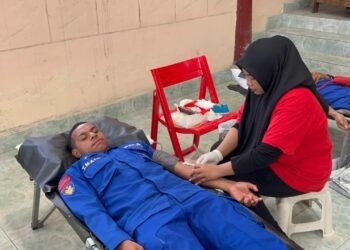 Polda Papua Dukung Aksi Donor Darah PSMTI di Jayapura, Perkuat Kepedulian Kemanusiaan