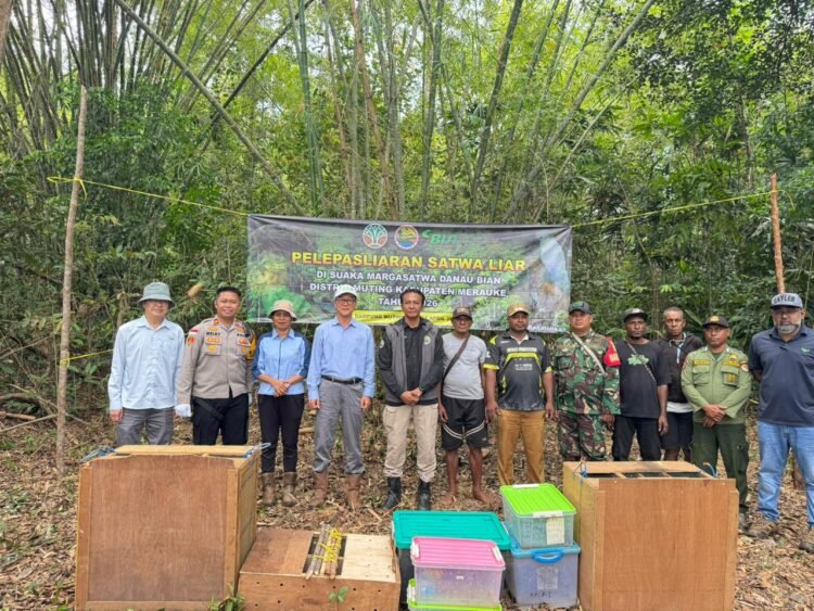 Polsek Muting Bersinergi dengan KSDA Lepasliarkan Satwa Dilindungi di Rawa Bian