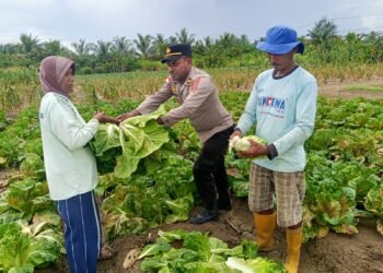 Polsek Muara Tami Sambangi Kelompok Tani Koya Barat, Perkuat Ketahanan Pangan Masyarakat