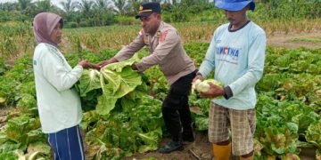 Polsek Muara Tami Sambangi Kelompok Tani Koya Barat, Perkuat Ketahanan Pangan Masyarakat