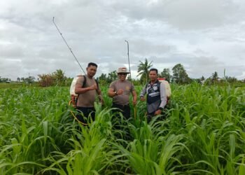 Polres Boven Digoel Gelar Ruang Edukasi Bagi Anak Putus Sekolah, Tingkatkan Literasi Dan Pola Hidup Sehat