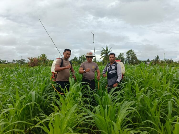 Polres Boven Digoel Gelar Ruang Edukasi Bagi Anak Putus Sekolah, Tingkatkan Literasi Dan Pola Hidup Sehat