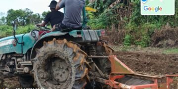 Dukung Ketahanan Pangan, Polsek Kurik Manfaatkan Lahan Produktif untuk Penanaman Jagung dan Rumput Gajah 