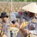 Polda Papua Gelar Panen Raya Jagung Kuartal II dan Dukung Program Ketahanan Pangan Nasional