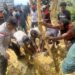 Kapolsek Kelila Bersama Personel dan Warga Gotong Royong Perbaiki Jalan Terdampak Longsor di Kampung Onggobalo