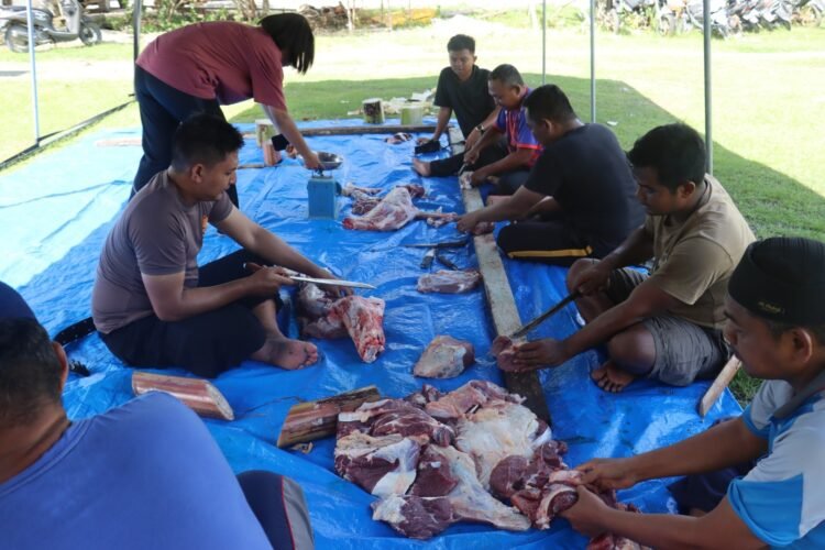 Peringati Idul Adha 1447 Hijriah, Polres Keerom Tebar Kepedulian Melalui Penyembelihan Hewan Kurban