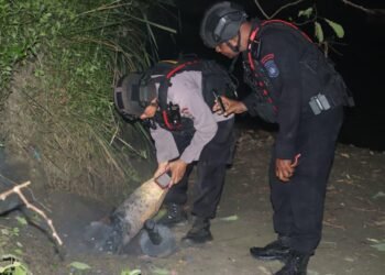 Respon Cepat Jibom Gegana Brimob Polda Papua, UXO Berbahaya di Sentani Berhasil Dinetralisir