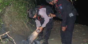 Respon Cepat Jibom Gegana Brimob Polda Papua, UXO Berbahaya di Sentani Berhasil Dinetralisir