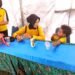 Pulihkan Keceriaan Anak-Anak Pengungsi, Polwan Polres Biak Numfor Gelar Trauma Healing