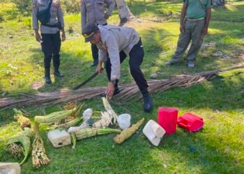Polsek Okaba Gencarkan Razia Miras Lokal, Puluhan Liter Sagero Dimusnahkan di Kampung Dufmira