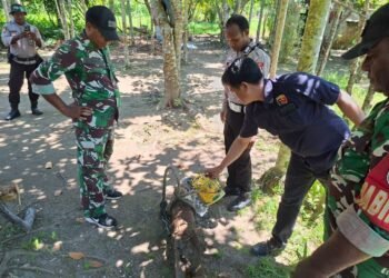 Polres Sarmi Amankan Mortir Aktif Peninggalan Perang Dunia II yang Ditemukan di Pantai Kelapa 1