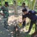 Polres Sarmi Amankan Mortir Aktif Peninggalan Perang Dunia II yang Ditemukan di Pantai Kelapa 1