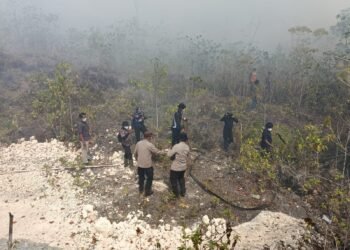 Gerak Cepat Polres Biak Numfor Tangani Karhutla di Yendidori, Dua Titik Api Berhasil Dipadamkan