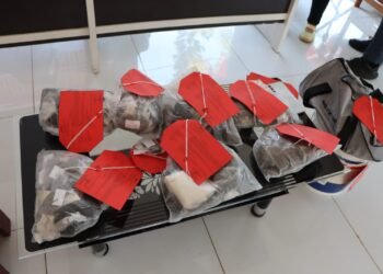 Kapolres Biak Numfor Rilis Kasus Narkotika, Dua Pengedar Ganja 1 Kg Ditangkap