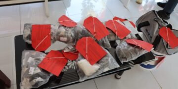 Kapolres Biak Numfor Rilis Kasus Narkotika, Dua Pengedar Ganja 1 Kg Ditangkap