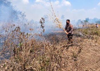 Polsek Kurik dan Tim Gabungan Bergerak Cepat Tangani Karhutla