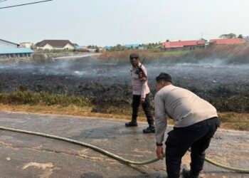 Karhutla di Jalan Kaliwedah 1 Sempat Dekati Permukiman, Polres Merauke Bersama Damkar dan BPBD Bergerak Cepat