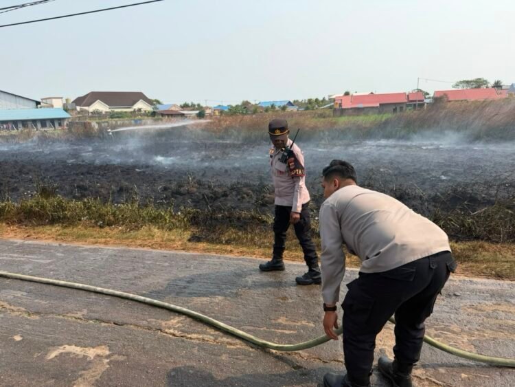 Karhutla di Jalan Kaliwedah 1 Sempat Dekati Permukiman, Polres Merauke Bersama Damkar dan BPBD Bergerak Cepat