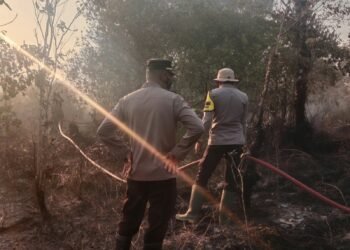 Respons Cepat Polri Bersama TNI dan BPBD, Karhutla di Padwa Sup Berhasil Dipadamkan