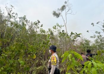Polres Biak Numfor Bergerak Cepat Tangani Karhutla di Kampung Urfu Sub Yendidori