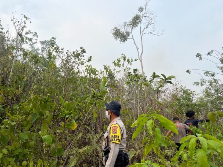 Polres Biak Numfor Bergerak Cepat Tangani Karhutla di Kampung Urfu Sub Yendidori
